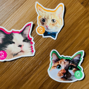 OSD4ALL Cat Stickers